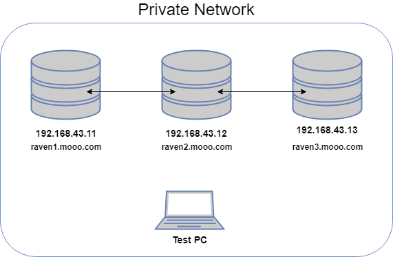 Network Overview